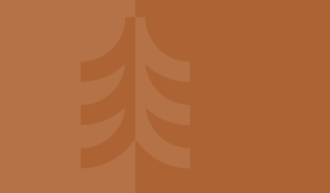 contact-accueil-groupe-ajfor-consultants-forestiers-au-quebec