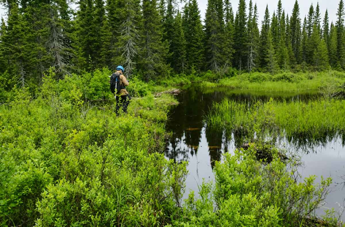 technicien-forestier-etang-groupe-ajfor-consultants-forestiers-quebec-2