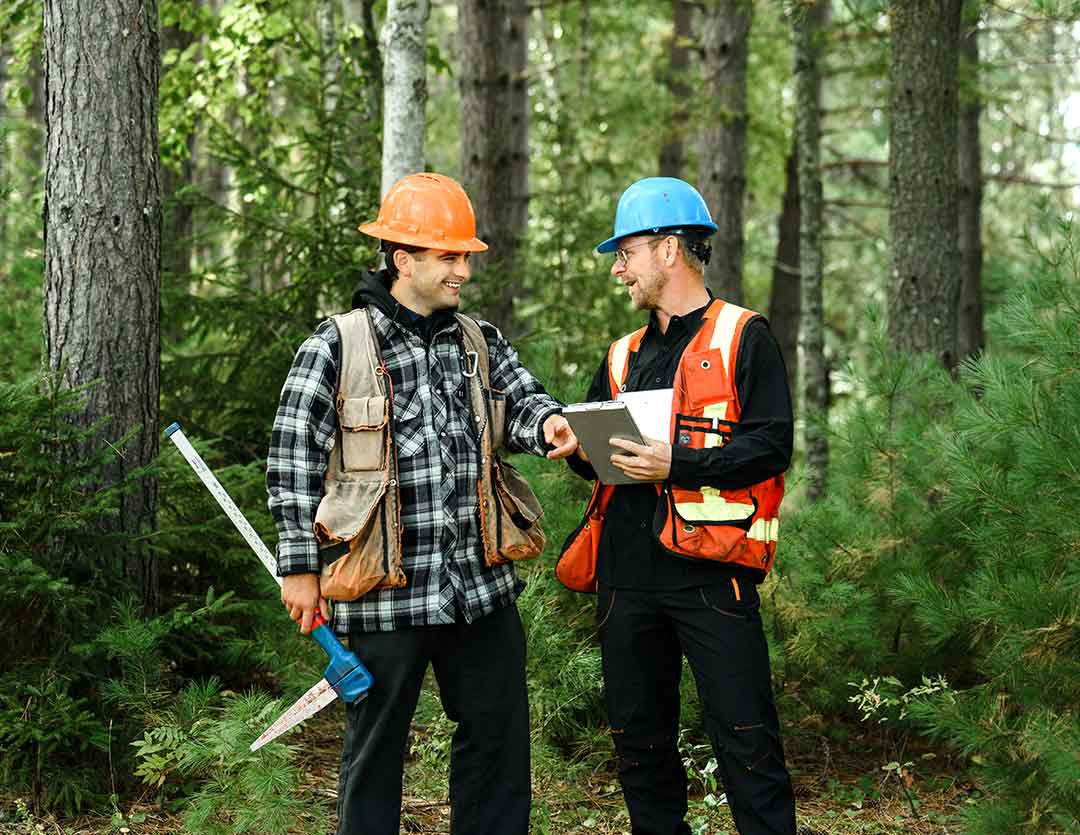 technicien-forestier-etang-groupe-ajfor-consultants-forestiers-quebec-2