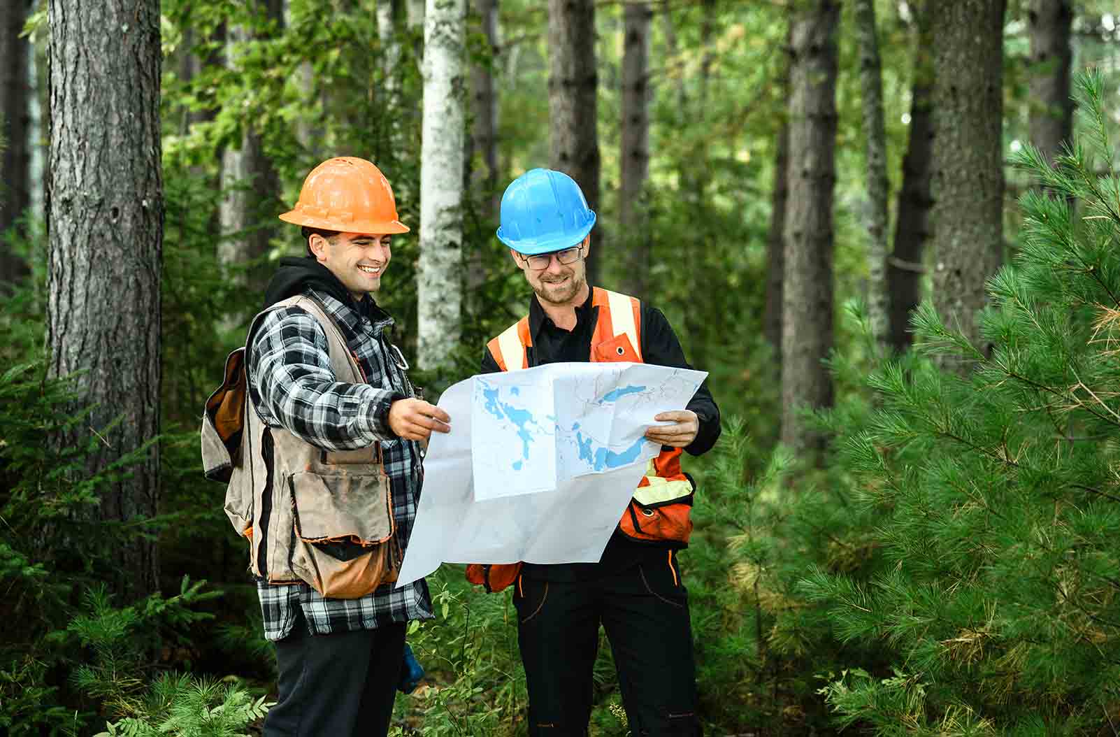 pourquoi-choisir-groupe-ajfor-technicien-regardant-ipad-foret-groupe-ajfor-consultants-forestiers-quebec