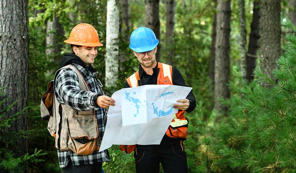 services-genie-conseil-groupe-ajfor-consultants-forestiers-quebec